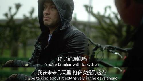 韩美最新爆料电影大全免费观看,免费观影盛宴，尽享视听盛宴  第1张